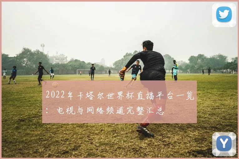 2022年卡塔尔世界杯直播平台一览：电视与网络频道完整汇总
