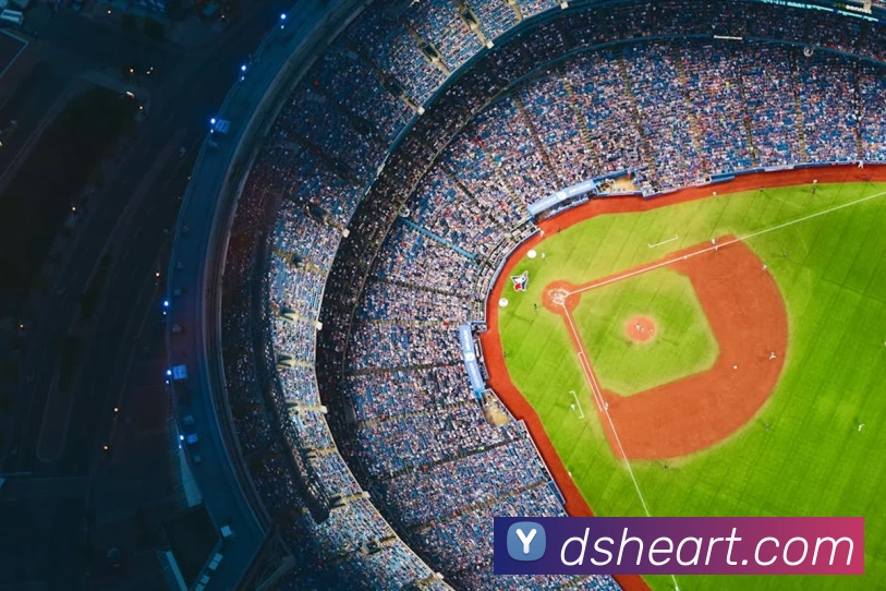 奇异果工作室官网品牌故事