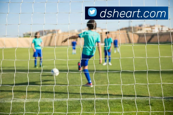 多媒体互动体验